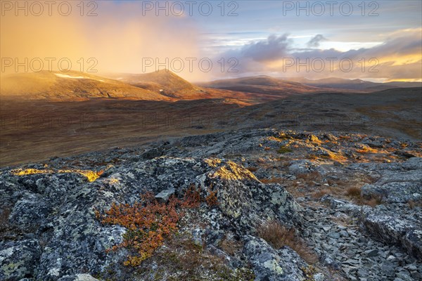 Autumn fell landscape