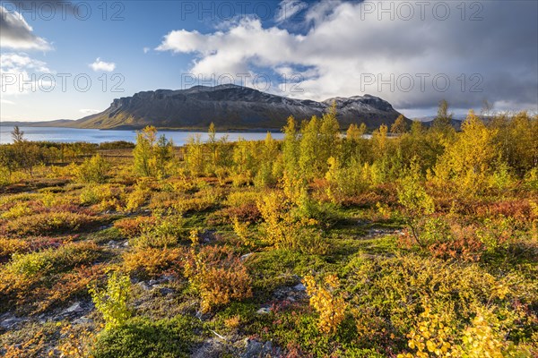 Autumn fell landscape