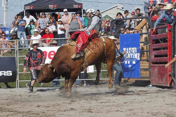 Rodeo competition