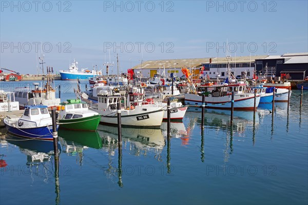 Small fishing vessels reflected in the harbour basin