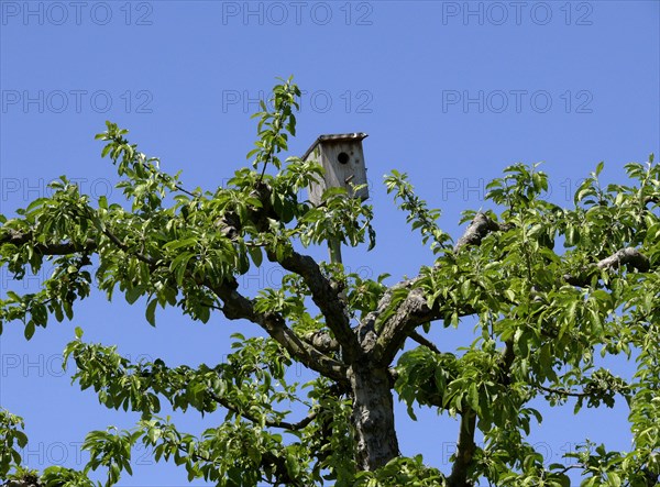 Bird nesting box