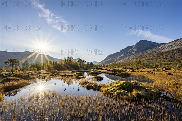 Small pond with bog landscape