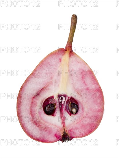 Pear variety Westphalian Blood Pear