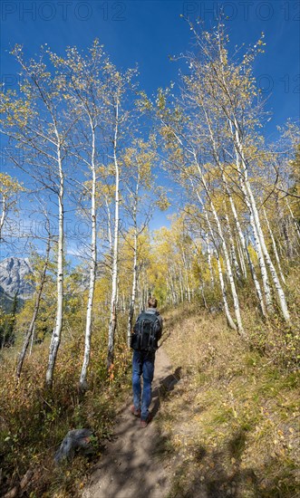 Young man on the hiking trail to Taggart Lake