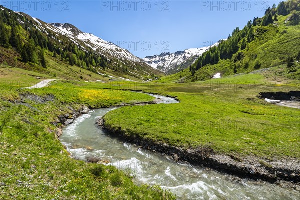 Hinterer Riedingbach flows through Alm in the Riedingtal nature Park