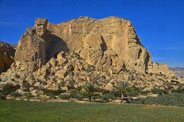 Palm trees in front of rock massif at Calguerin caves