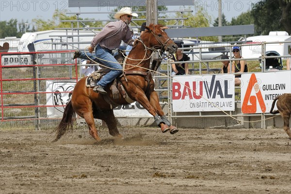 Rodeo competition