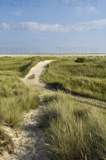 Paths in the dunes near Wittduen