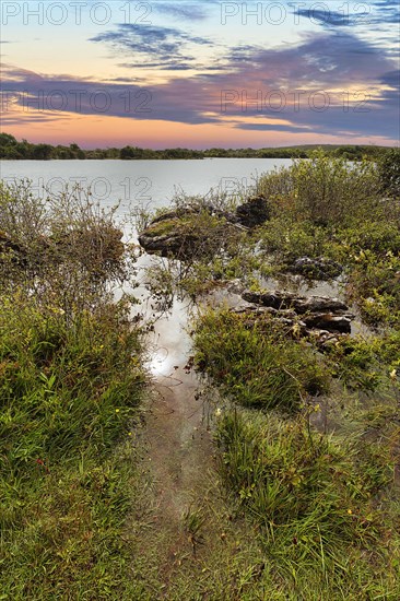 Swampy landscape at a seasonal lake called Turlough