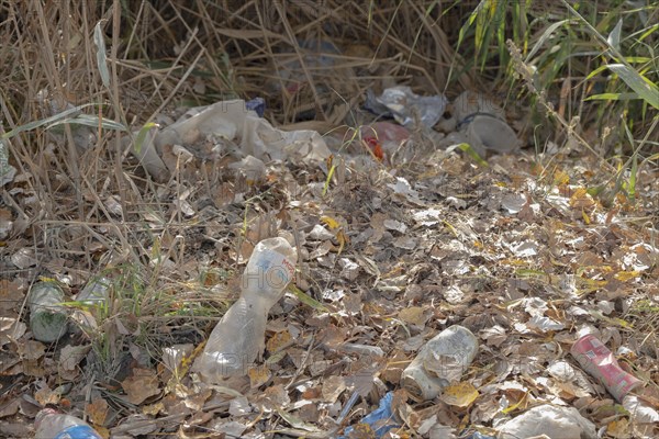 Discarded plastic bottles and other garbage in a meadow in the shore zone. Ermakov island