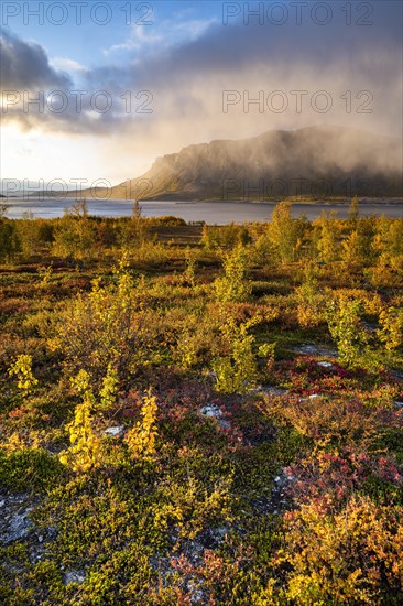 Autumn fell landscape