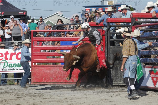 Rodeo competition