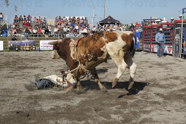 Rodeo competition