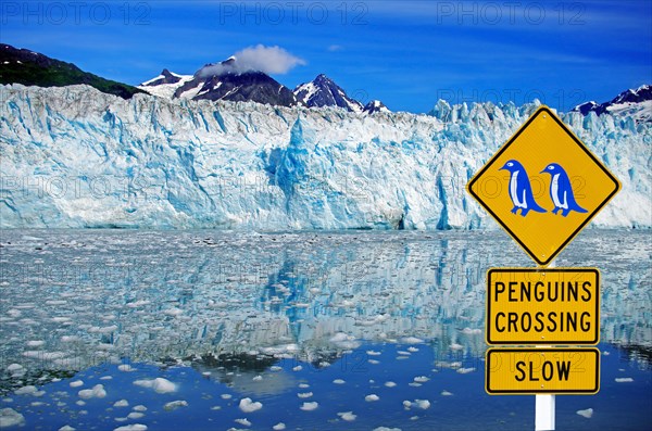 Traffic sign warning of crossing penguins