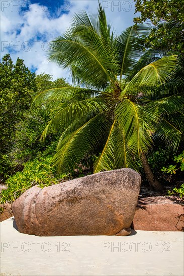 Dream beach with granite rocks and palm trees