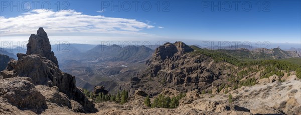 View from Pico de las Nieves