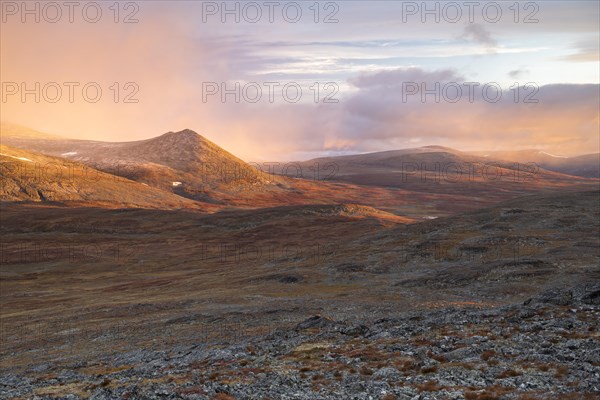 Autumn fell landscape