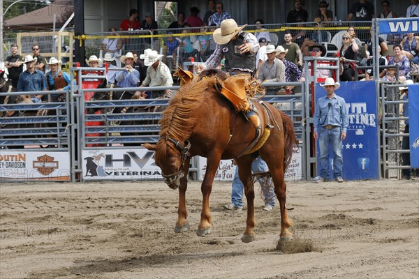 Rodeo competition