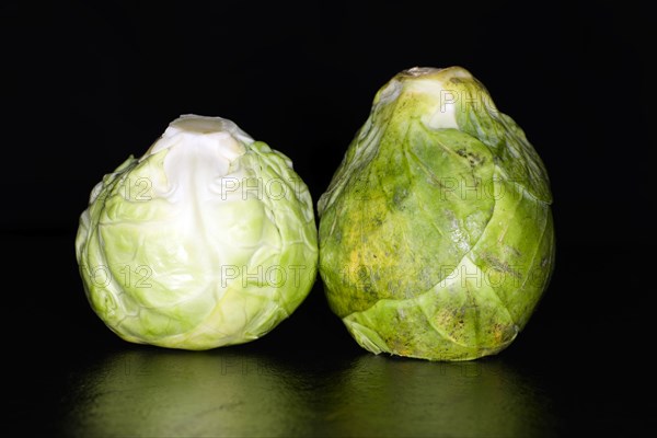 Two brussels sprout