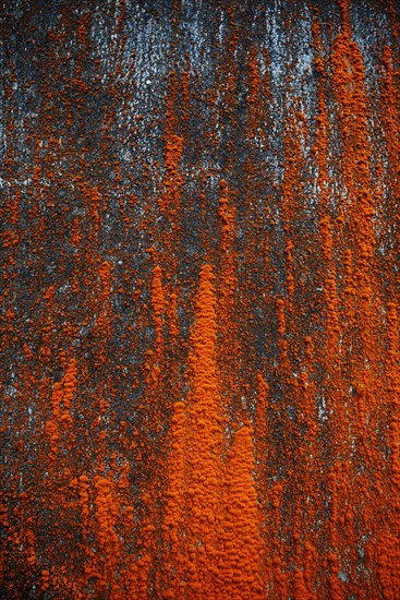 House facade with red algae growth