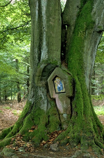 Wayside shrine in tree