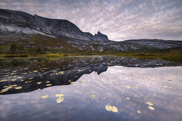 Mount Kulhornet reflected in small pond