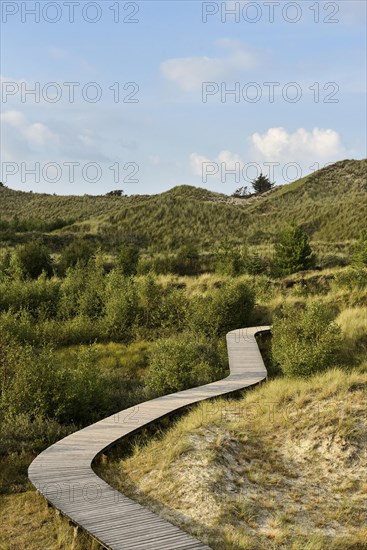 Boardwalk in the dunes near Wittduen