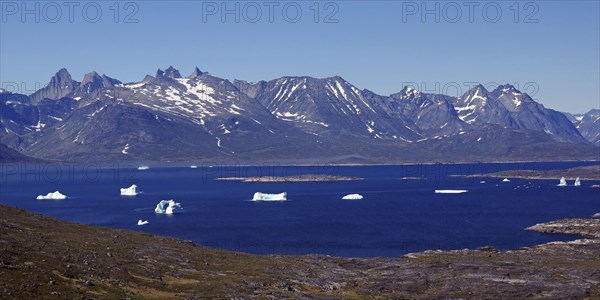 Icebergs in the fjord