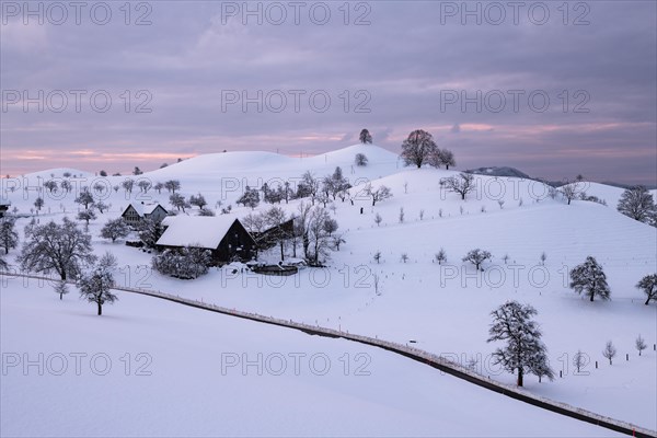 Winter landscape at Hirzel