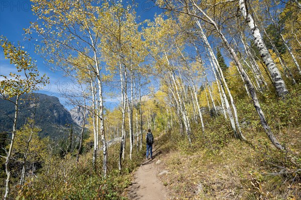 Young man on the hiking trail to Taggart Lake