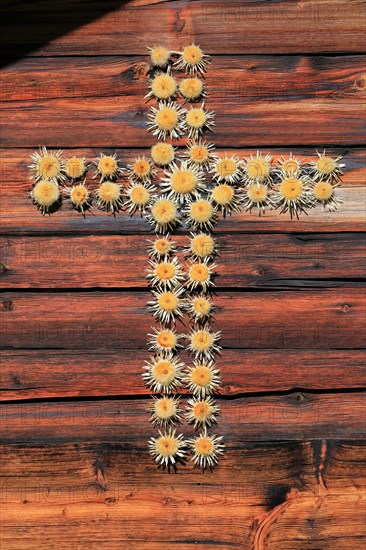 Cross of thistles on alp house