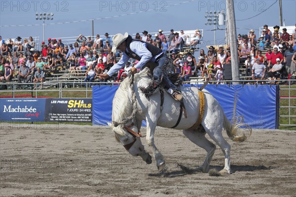 Rodeo competition