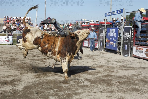 Rodeo competition