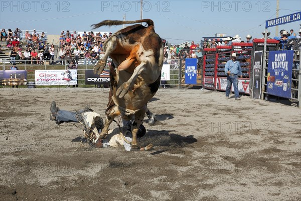 Rodeo competition