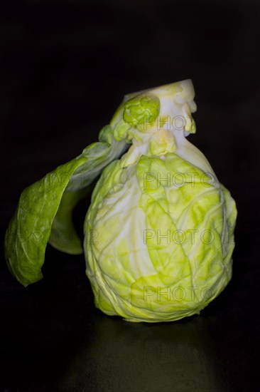 A brussels sprout