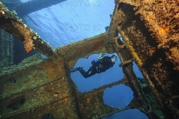 Diver looking into interior of sunken ship decaying rusting shipwreck Elviscot