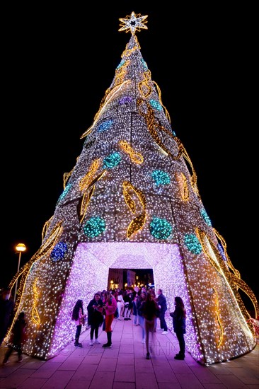 Illuminated Christmas tree