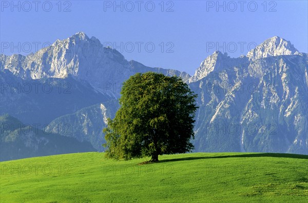 Book in summer with Allgaeu Mountains Bavaria Germany