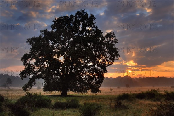 Sunrise in autumn 2007 in the nature reserve Hainberg near Fuerth in Middle Franconia in Bavaria in Germany