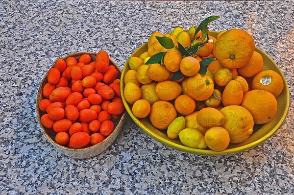 Citrus fruits in bowls on granite tabletop