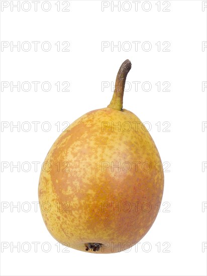 Pear variety Goldschwaenzchen
