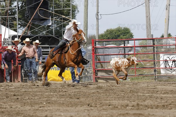 Rodeo competition