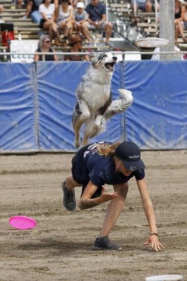 Flying dogs