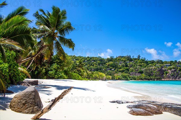 Palm trees on Petite Anse beach with granite rocks