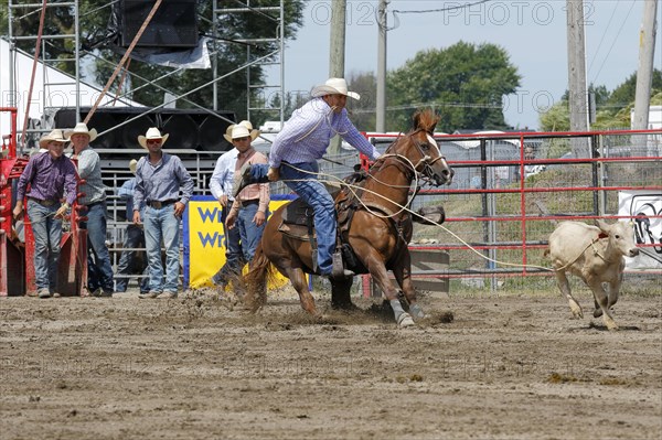 Rodeo competition