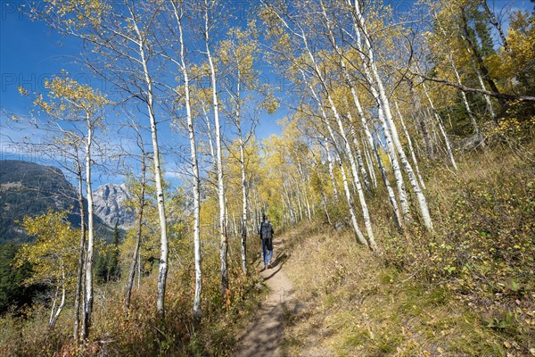 Young man on the hiking trail to Taggart Lake