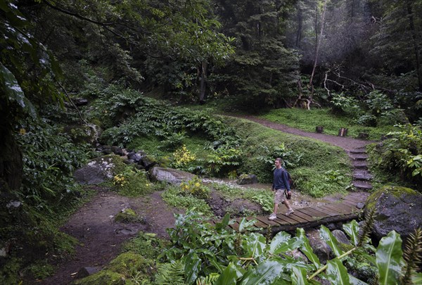 Hiking trail through jungle-like forest to the Salto do Prego waterfall