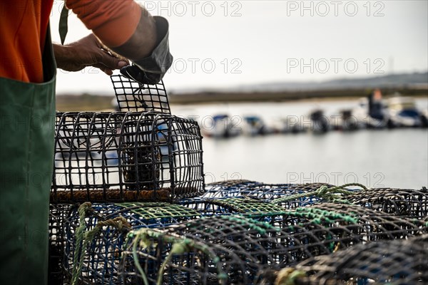 Fisherman puts crab inside octopus traps in Alvor