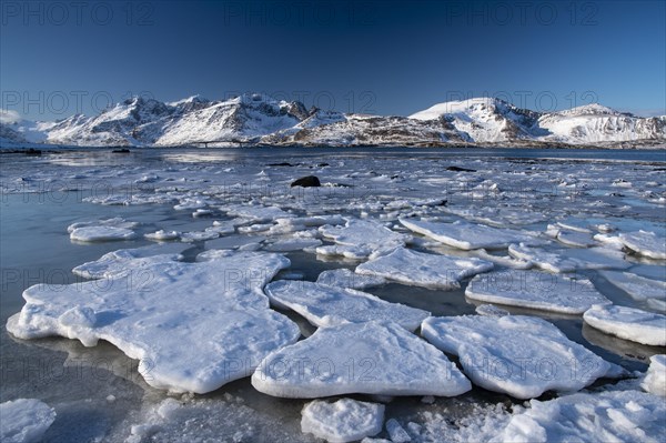 Winter Scandinavian landscape