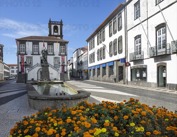 Fountain in the Town Hall Square